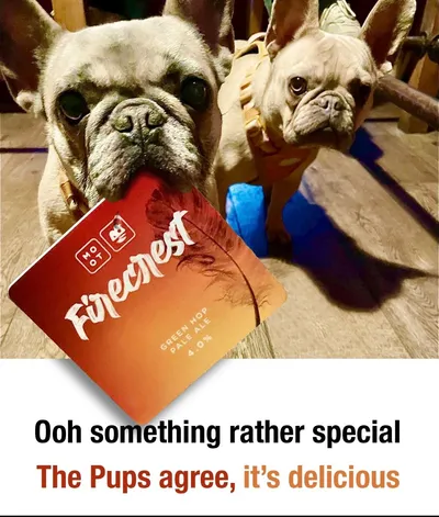 Two dogs holding a beer mat